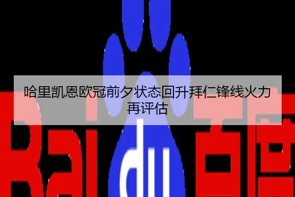 哈里凯恩欧冠前夕状态回升拜仁锋线火力再评估