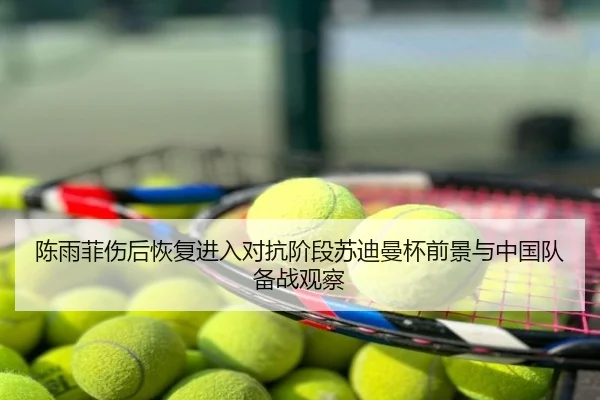 陈雨菲伤后恢复进入对抗阶段苏迪曼杯前景与中国队备战观察